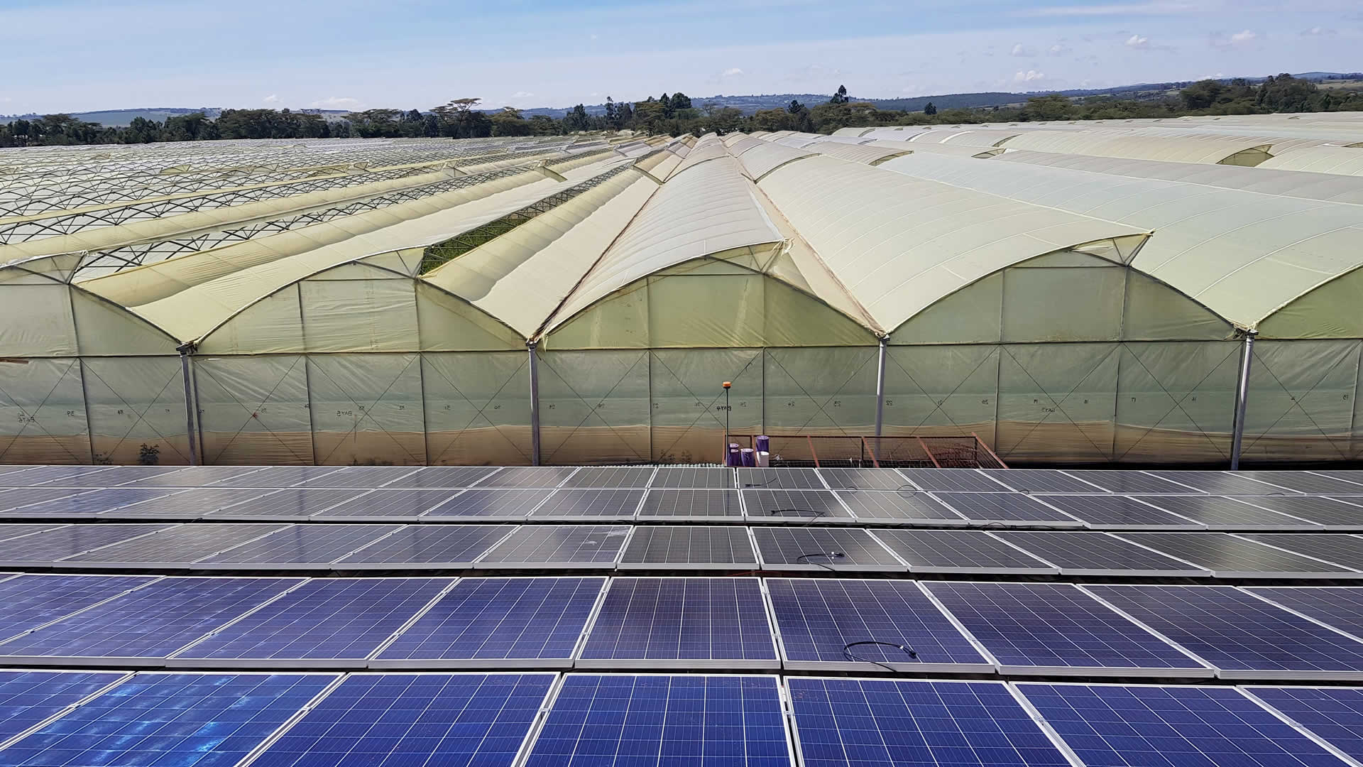 Agrovoltaica - Energía solar fotovoltaica agrícola - Coversun
