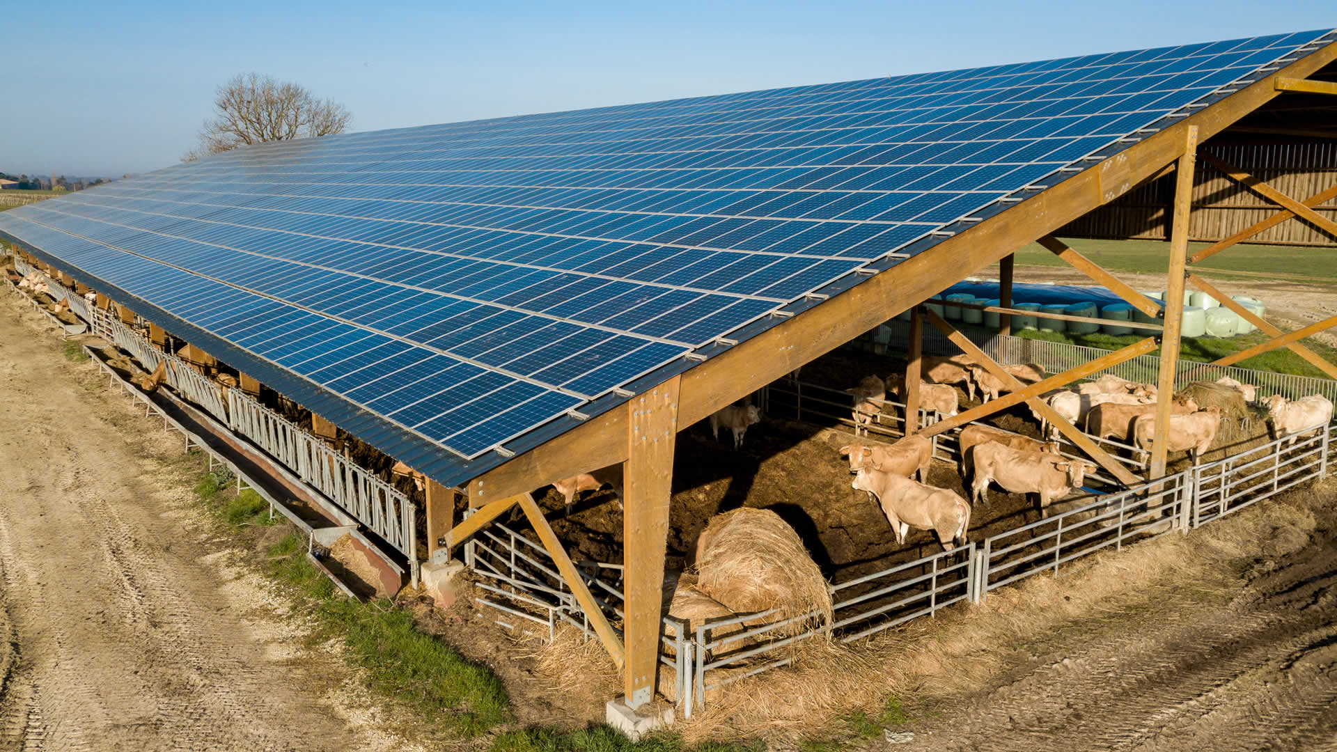 Agrovoltaica - Energía solar fotovoltaica para granjas - Coversun